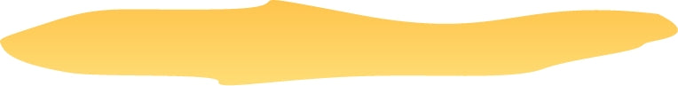 Lemon Decor